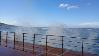 GC-Playa Las Canteras 2026-096.jpg